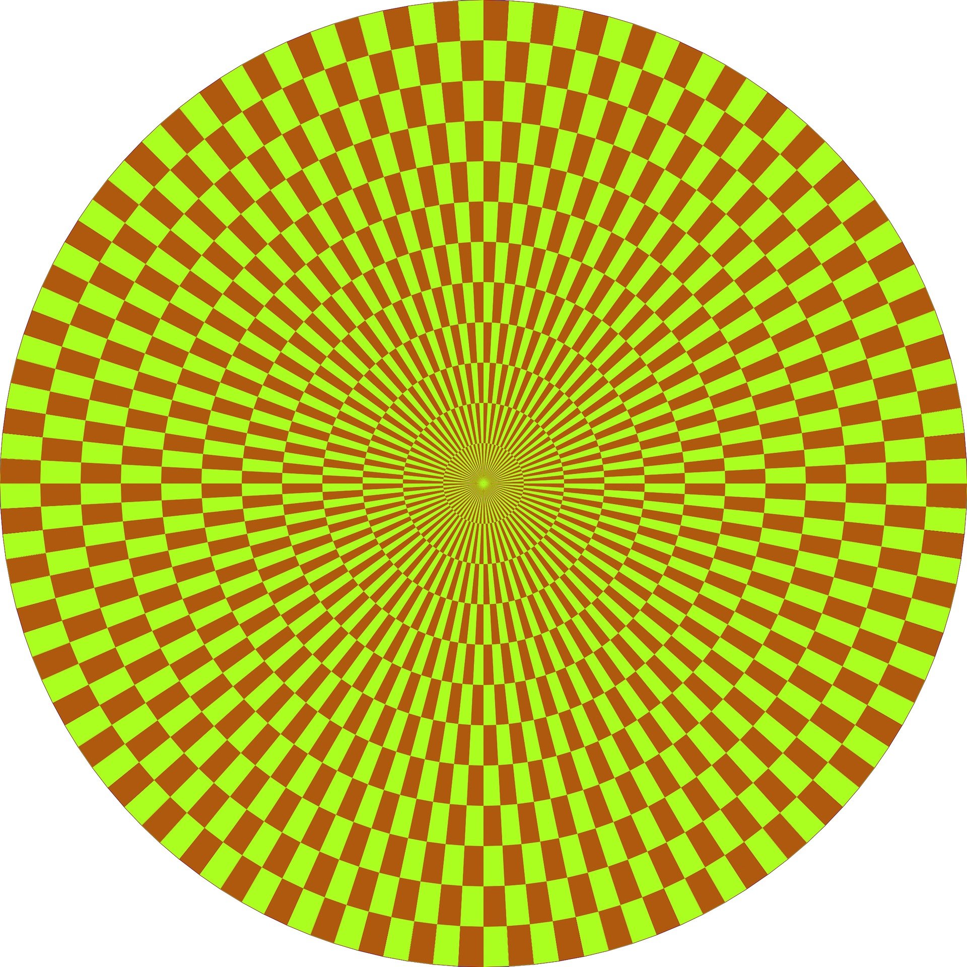 Hermann Grid illusion