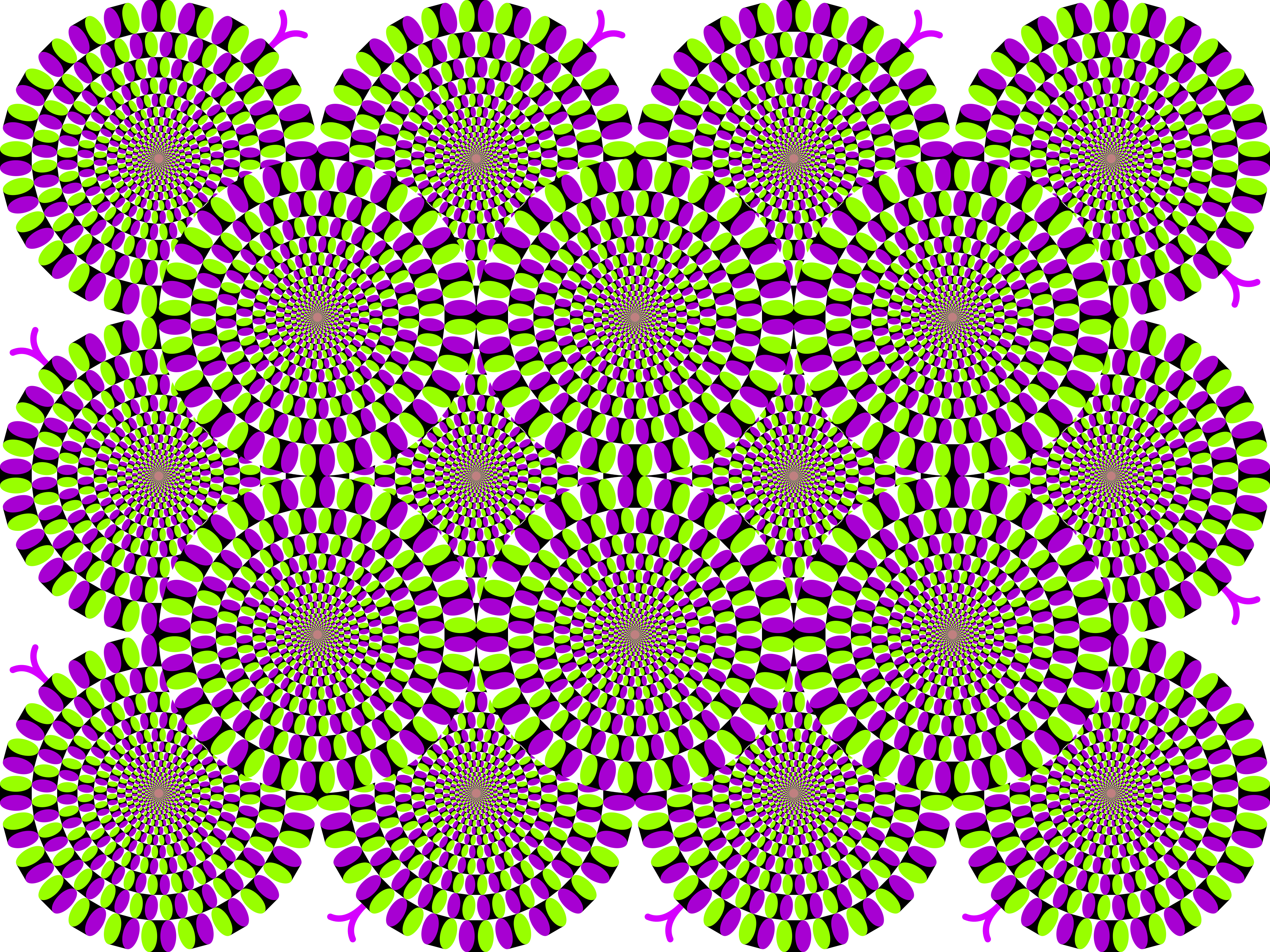 Rotating Snakes peripheral motion illusion by Akiyoshi Kitaoka where static circles appear to spin